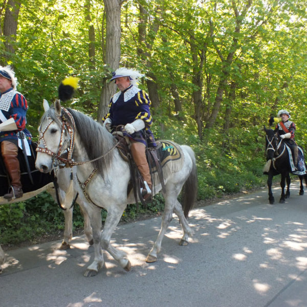 torgauer-geharnischte-historische-buergerwehr-sachsen-torgau-reiterzug005